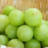 Gooseberry