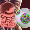 Symptoms of norovirus