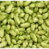 Improves digestive health
