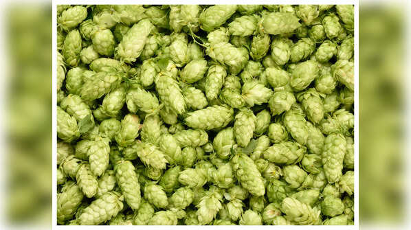 Improves digestive health