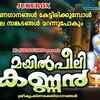 Article image for: Guruvayurappan Song: Check Out Popular Malayalam Devotional Songs 'Mayilpeeli Kannan' Jukebox Sung By Madhubalakrishnan, Sangeetha And Divya B Nair