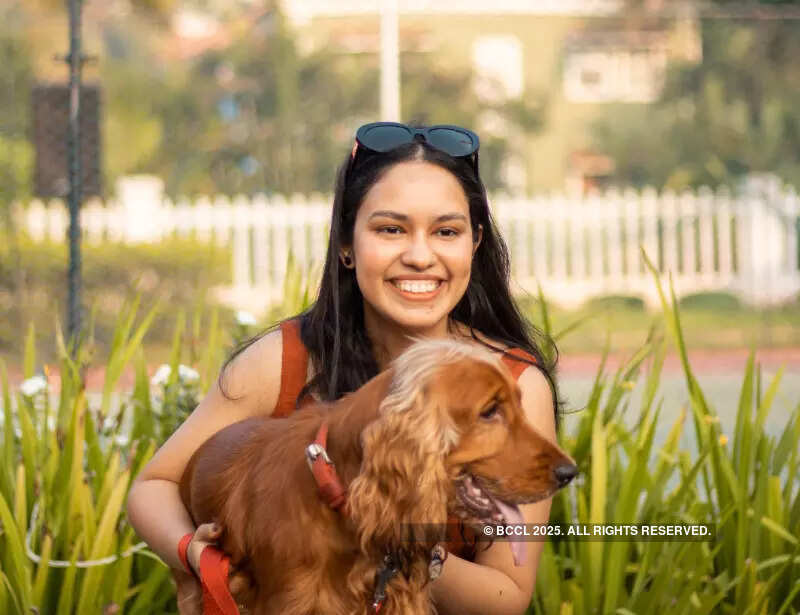 It was a Dog's Day in Goa