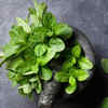 Mint
