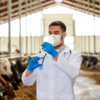 Can this disease spread to humans?