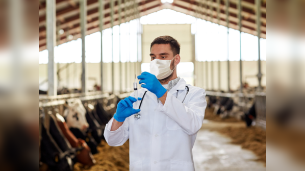 Can this disease spread to humans?
