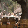 Manish Sisodia’s Arrest Live Updates: ​Aam Aadmi Party to hold nationwide protests on Monday against Sisodia's arrest