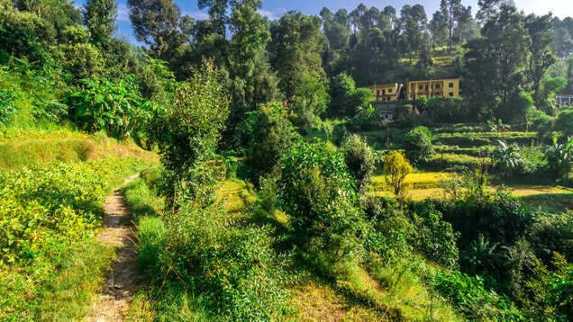 Beyond hills and valleys in Bageshwar, Uttarakhand