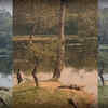 Article image for: Crocodile gets panic, jumps into water seeing a drunk man in UP