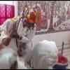 Article image for: <i class="tbold">vrindavan</i> widows celebrate Holi