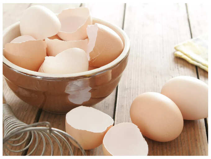 Why some nutritionists eating eggshells The Times of India