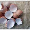 How to eat eggshells