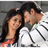 Bulbul