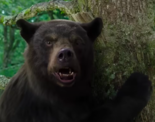 Checkout movie stills of the Hollywood movie 'Cocaine Bear'