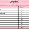 Ruling NPP wins 26 seats, UDP bags 11