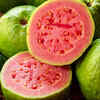 Guava 