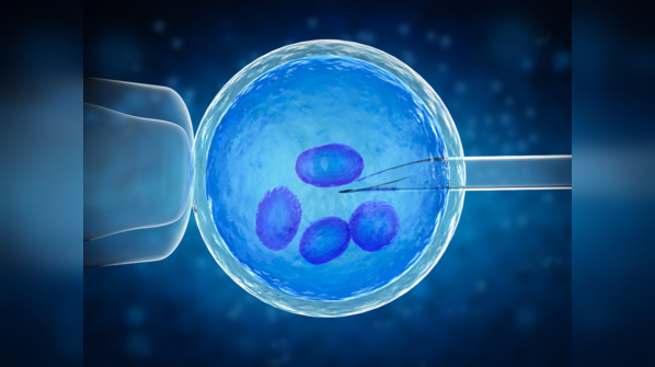 Who can conceive through IVF?