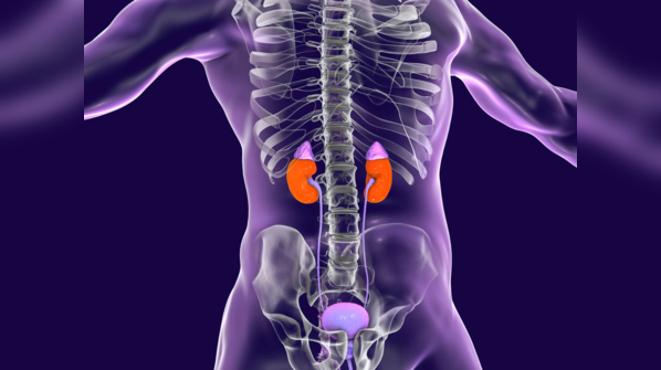 Kidney disease can cause these problems too: