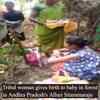 Article image for: Tribal woman gives birth to baby in forest in Andhra Pradesh's <i class="tbold">alluri</i> Sitaramaraju