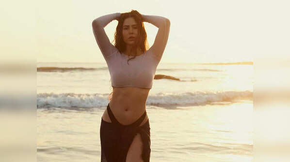 Sonam Bajwa