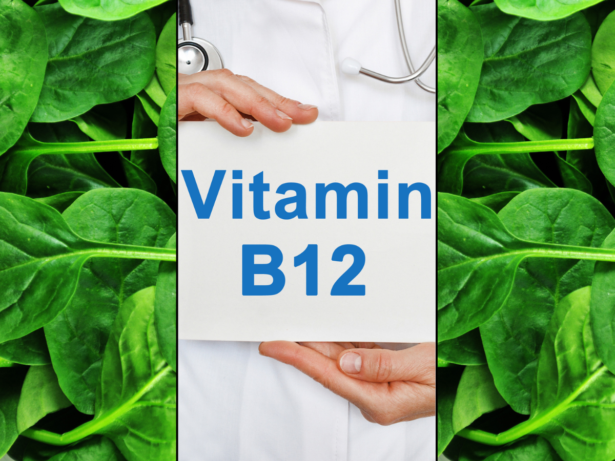 B12 deficiency Vegetarian foods rich in Vitamin B12 The Times of India