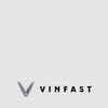 Article image for: <i class="tbold">vinfast</i>