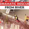 Article image for: On cam: Dramatic rescue of man from raging Los Angeles River
