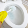 ​​Lifestyle habits for early recovery from UTI: ​