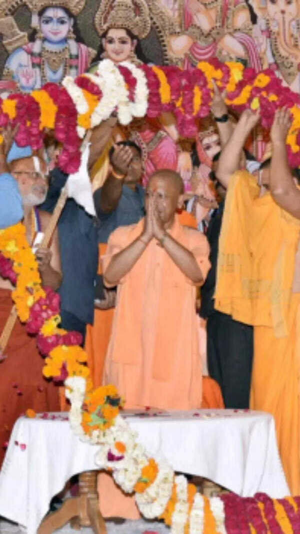 Yogi_ Stills