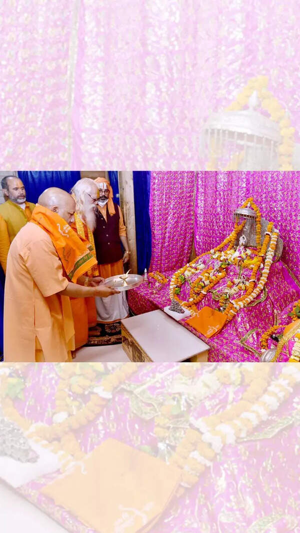Yogi_