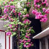 Article image for: Gauraiya walon ki haveli