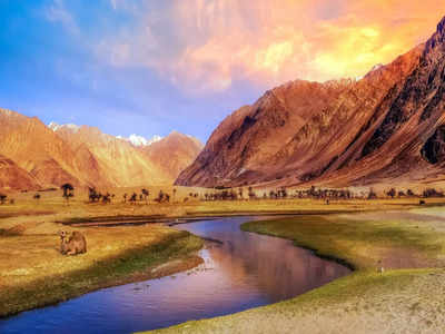 Nubra Valley – an incredibly beautiful cold desert