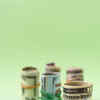 Article image for: <i class="tbold">financial security</i>