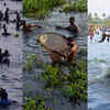 Article image for: Fishing <i class="tbold">festival</i>