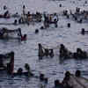 Fishing festival