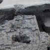 Article image for: Ancient building remains uncovered