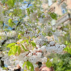 Article image for: Spring love