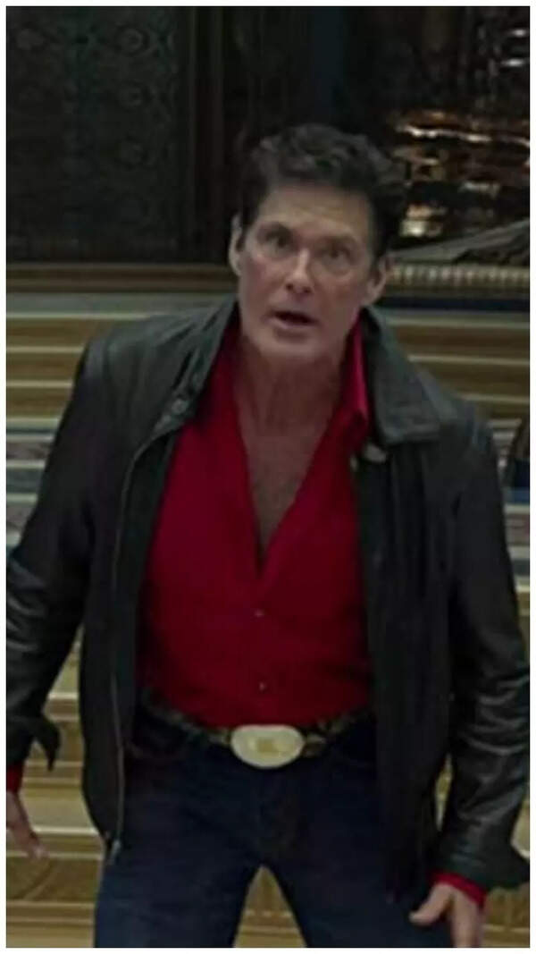 David Hasselhoff Photos