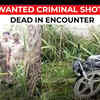 Article image for: UP: Accused of <i class="tbold">Suresh Raina</i>'s kin murder shot dead in encounter