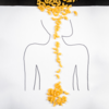 Article image for: <i class="tbold">gut health</i>: