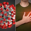Article image for: Can COVID-19 damage the heart?