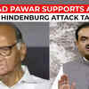 Article image for: Sharad Pawar: <i class="tbold">hindenburg</i> report on Adani 'seems targeted’