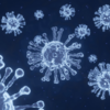 ​​What is hybrid immunity?​
