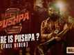Pushpa 2: The Rule - Official Malayalam Teaser