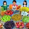 Article image for: Watch Popular Children Hindi Story '<i class="tbold">fruit salad</i> School Picnic Kids <i class="tbold">fruit salad</i> Summer Vacation' For Kids - Check Out Kids Nursery Rhymes And Baby Songs In Hindi