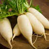 Radish