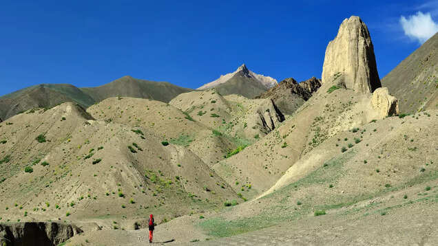 Markha Valley Trek, a great way to experience Ladakhi culture and wildlife