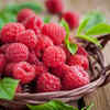 Raspberries