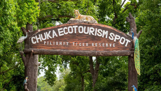 Nothing short of a wildlife extravaganza at Uttar Pradesh&rsquo;s Pilibhit Tiger Reserve