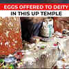 Article image for: Why eggs are offered to deity in this Uttar Pradesh temple