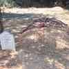Article image for: Atiq Ahmad and Ashraf to be buried in <i class="tbold">graveyard</i> in UP's Prayagraj
